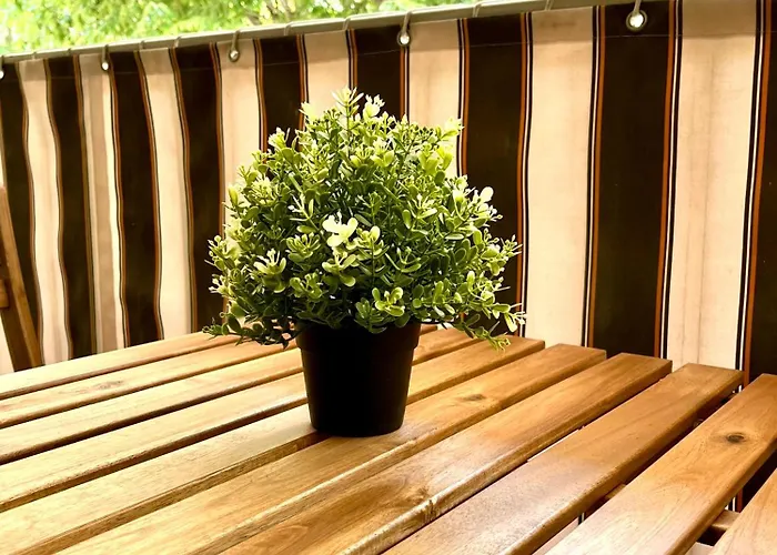 Apartament Standing 100m De La Avec Balcon Dauphin *